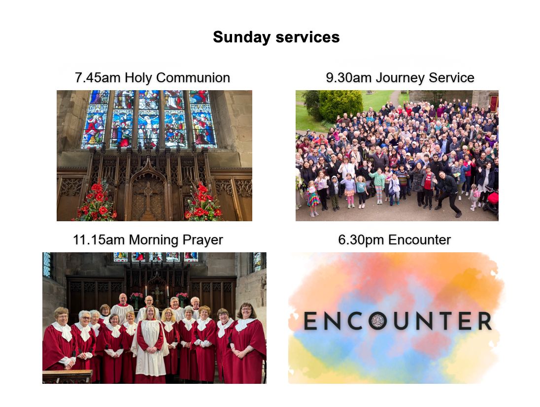 Service - website